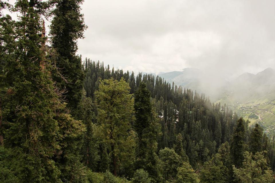 Summer Retreat Nathia Gali エクステリア 写真